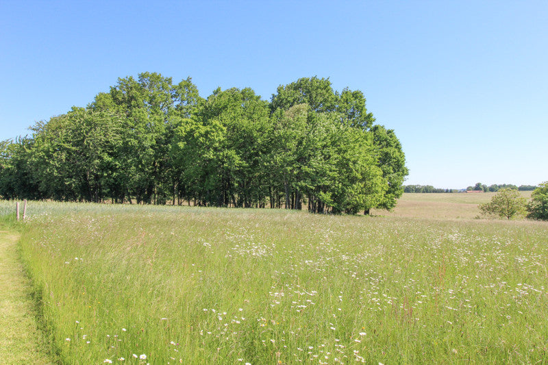 Unieke bouwkavel van 8.360 m² te koop in Dordogne