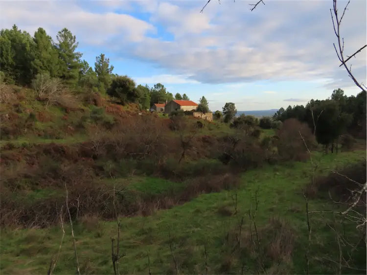 De kosten van off-grid wonen in Portugal – wat moet je echt weten?