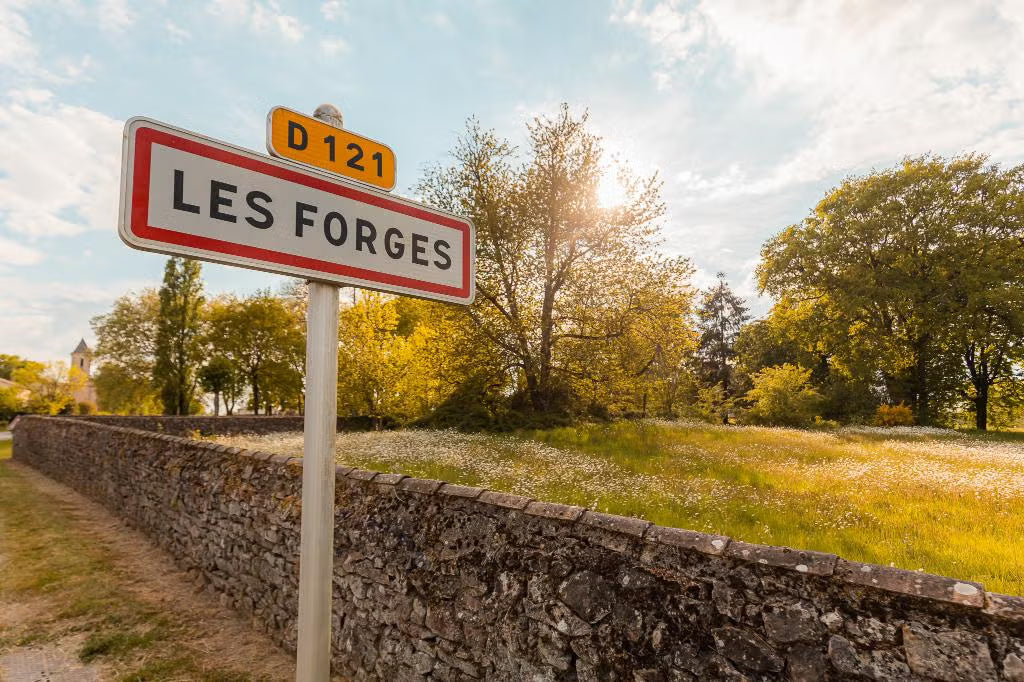 Bouw je eigen (vakantie)huis of ontwikkel een villawijk in Les Forges, Frankrijk!
