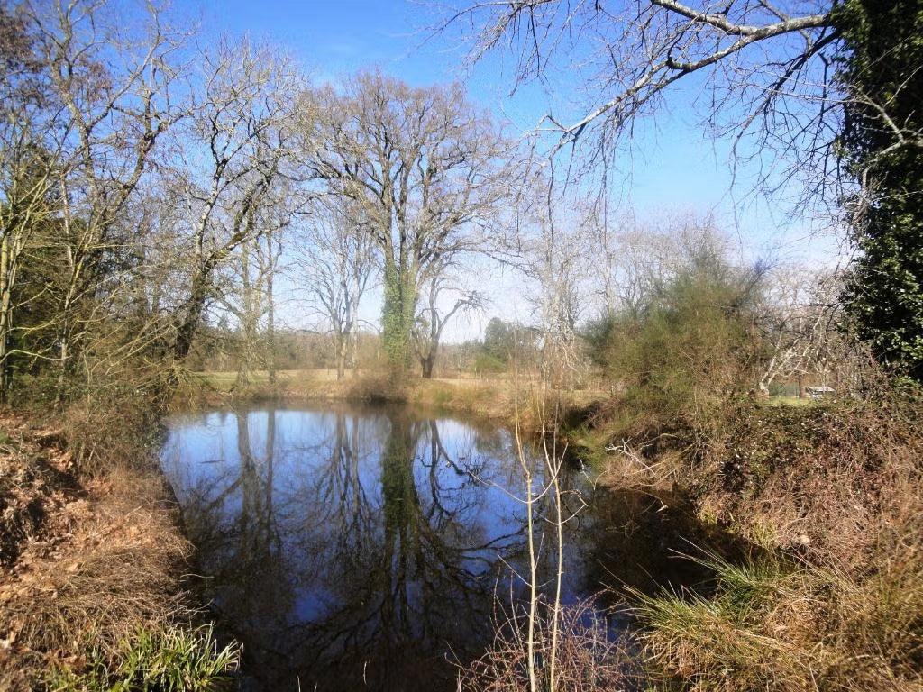 Bouw je eigen (vakantie)huis of ontwikkel een villawijk in Les Forges, Frankrijk!