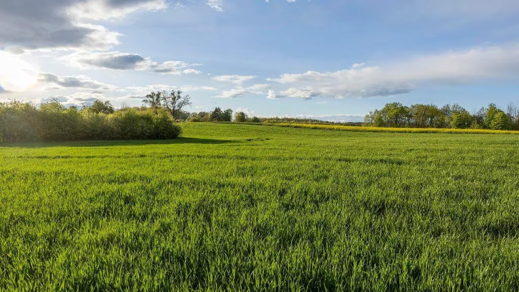 30.928 m2 großes offizielles Baugrundstück auf einer Halbinsel in Ostböhmen