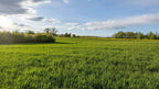30.928 m2 großes offizielles Baugrundstück auf einer Halbinsel in Ostböhmen