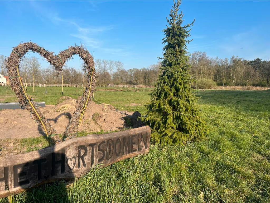 Anwesen Ellestraat mit Baugrundstück