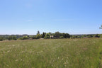 Veliz-Malaga Spanien - Baugrundstück 